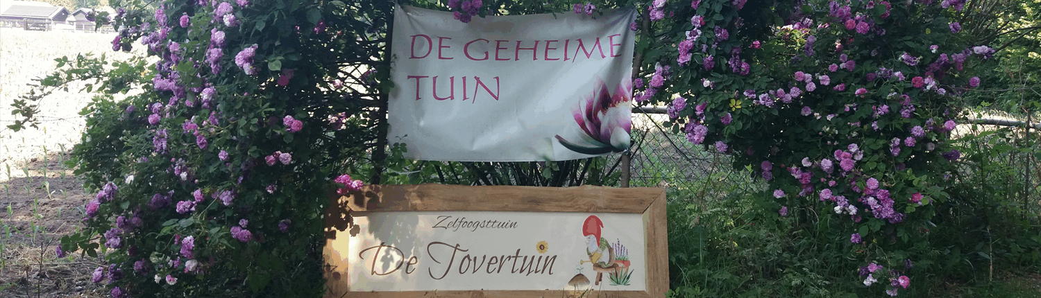 De Geheime Tuin in Epe
